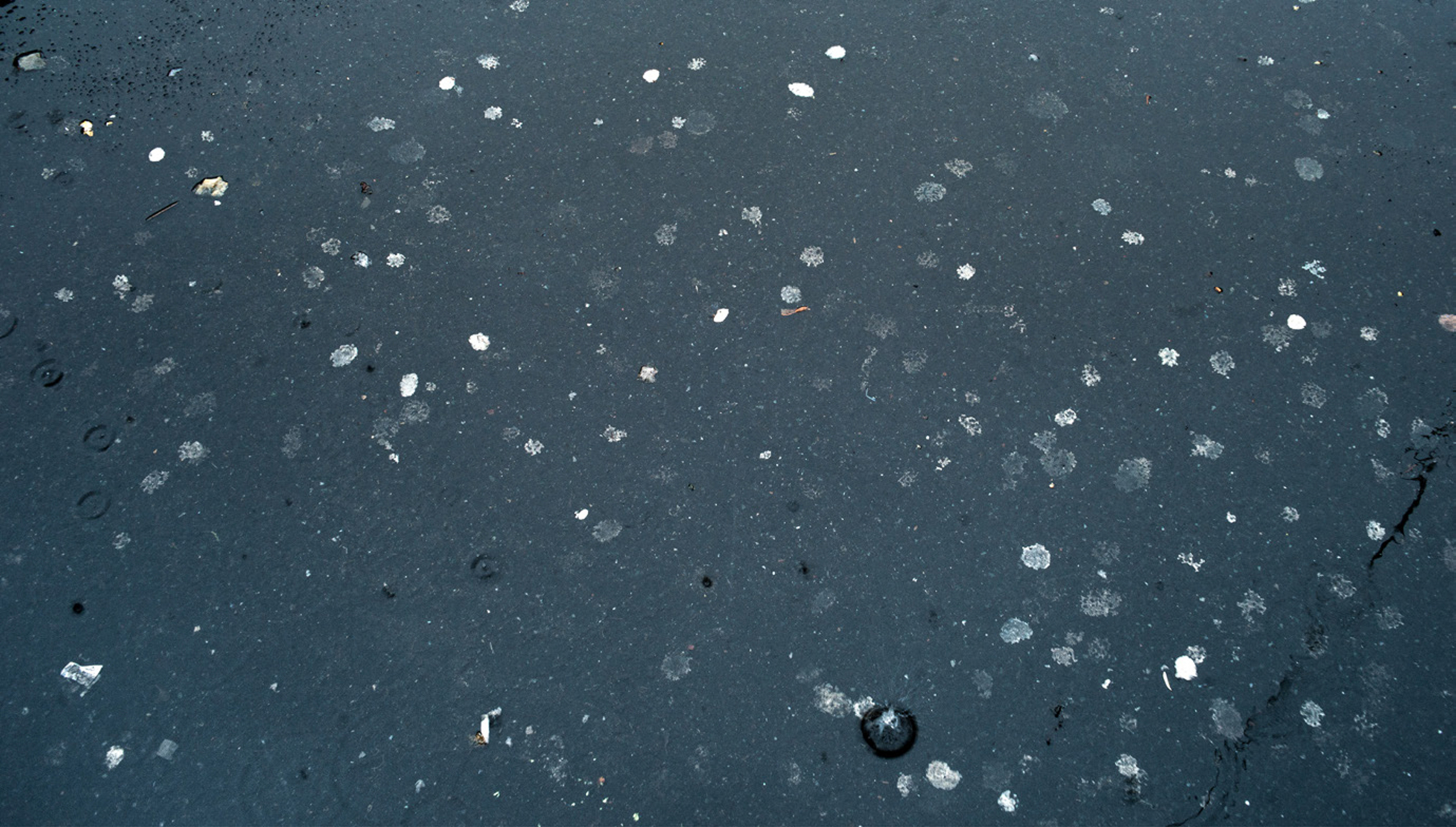 Berlin-Weekly_Alfredo Ramos Fernandez_05