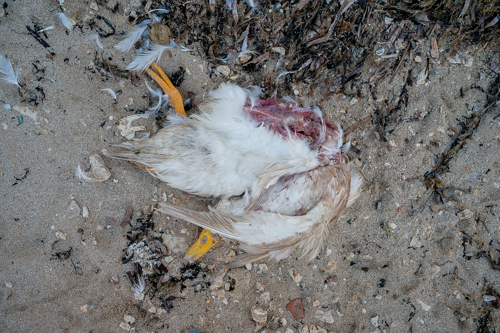 untitled series Temporary Refuges-20