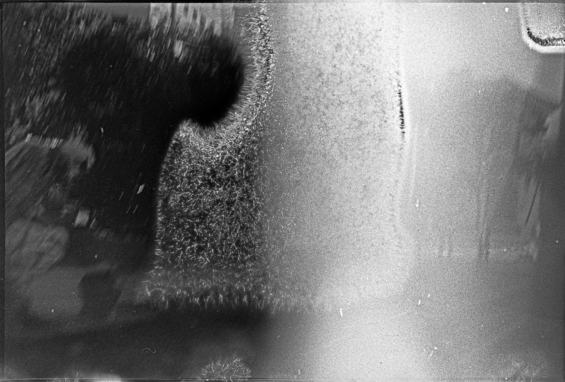 Stein & Staub, Archival Pigment Prints, 38 × 58 cm, 2023