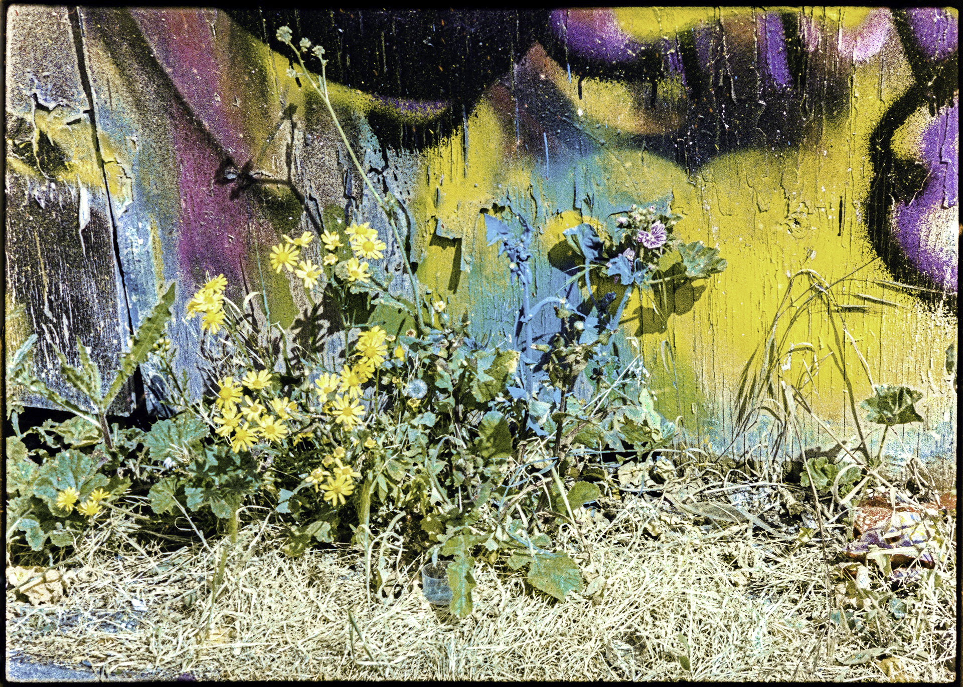 SP sin_velo (1)-Bearbeitet-2