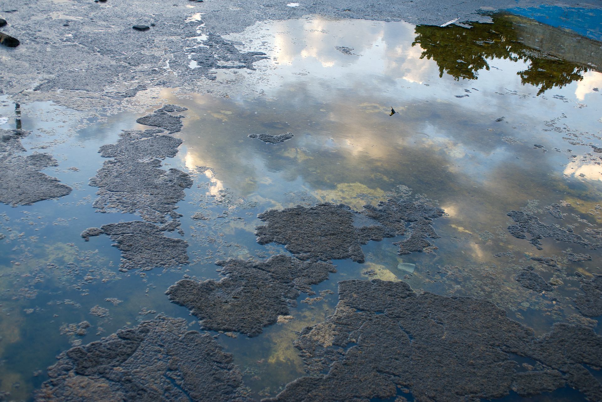 Untitled from the Series Broken Dreams, Archival Pigment Print, 60 x 90 cm, 2024