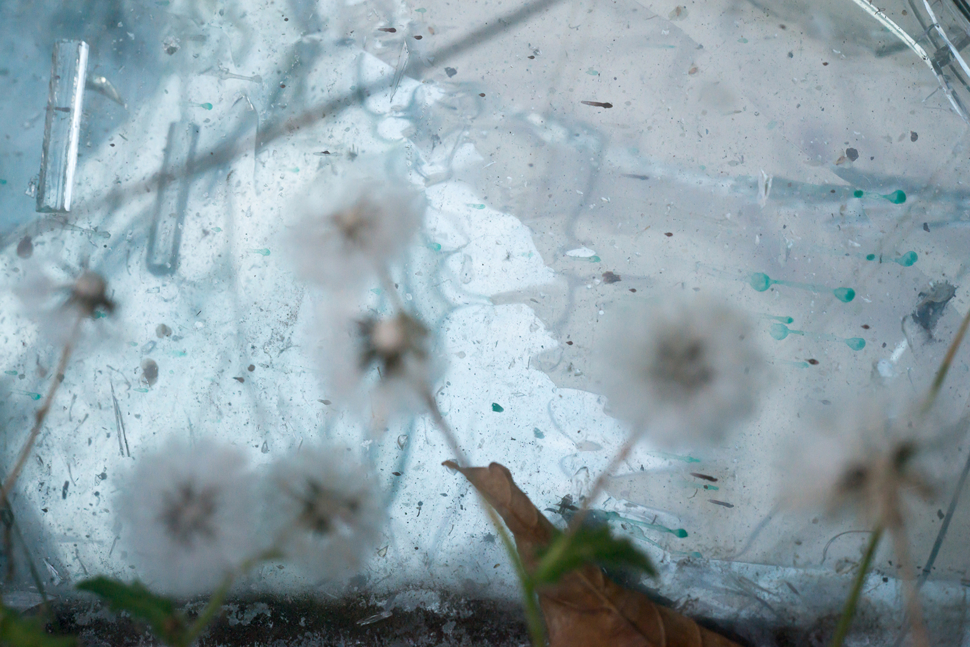 ramos_alfredo_unt_reste_von_resten_02