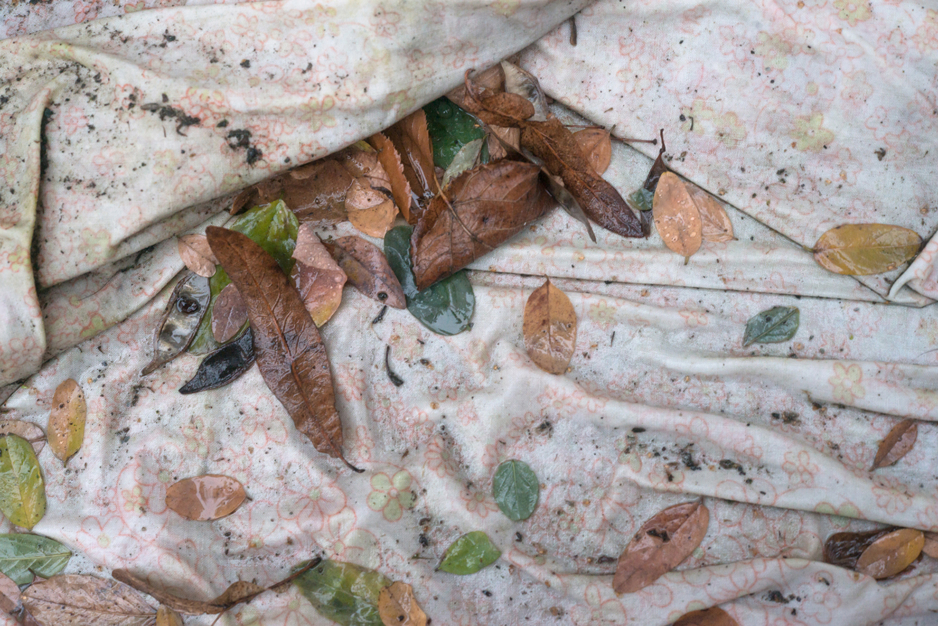 ramos_alfredo_unt_reste_von_resten_05