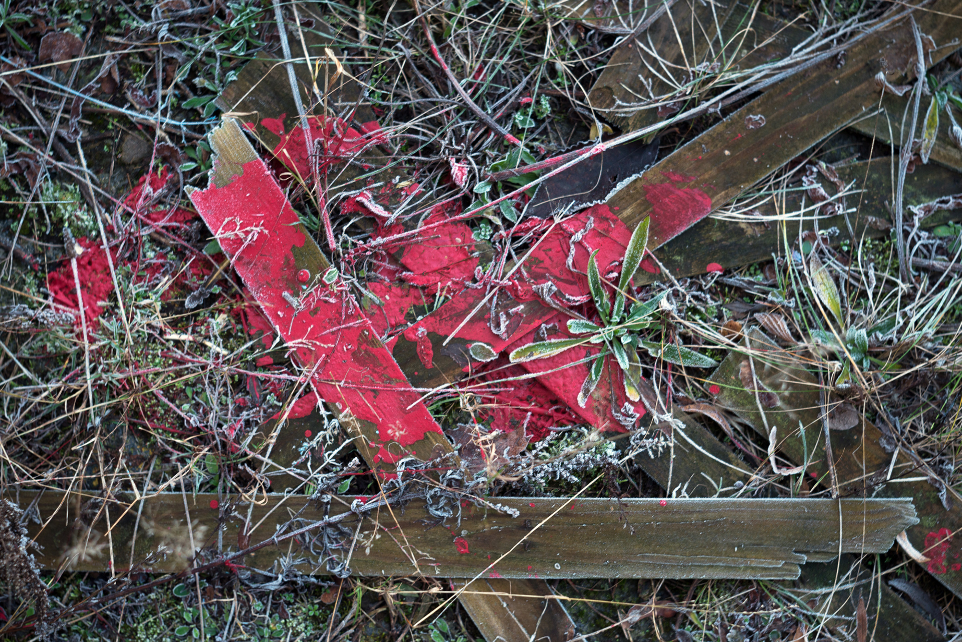 ramos_alfredo_unt_reste_von_resten_08