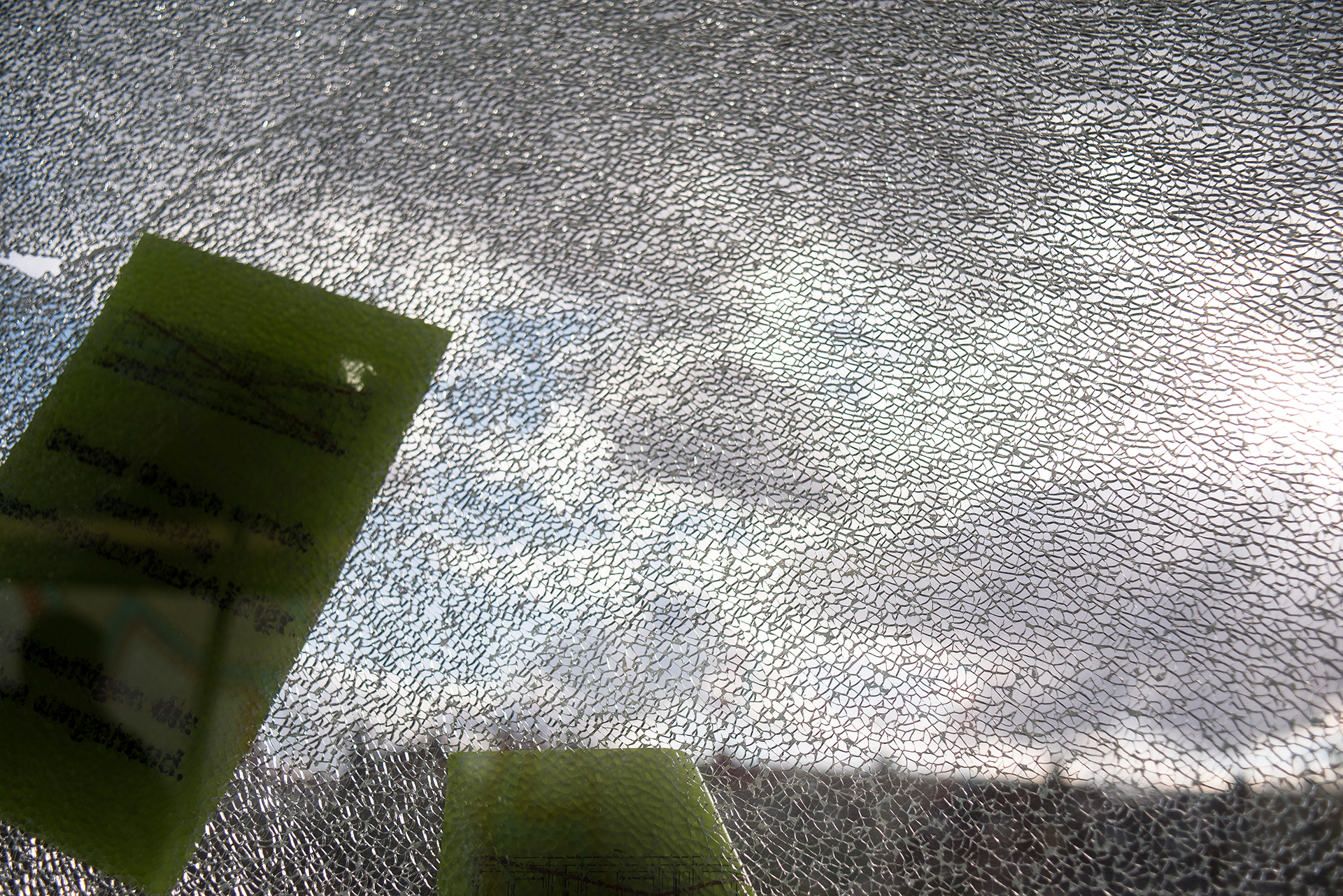 _DSC0241-Editar-Editar-Editar